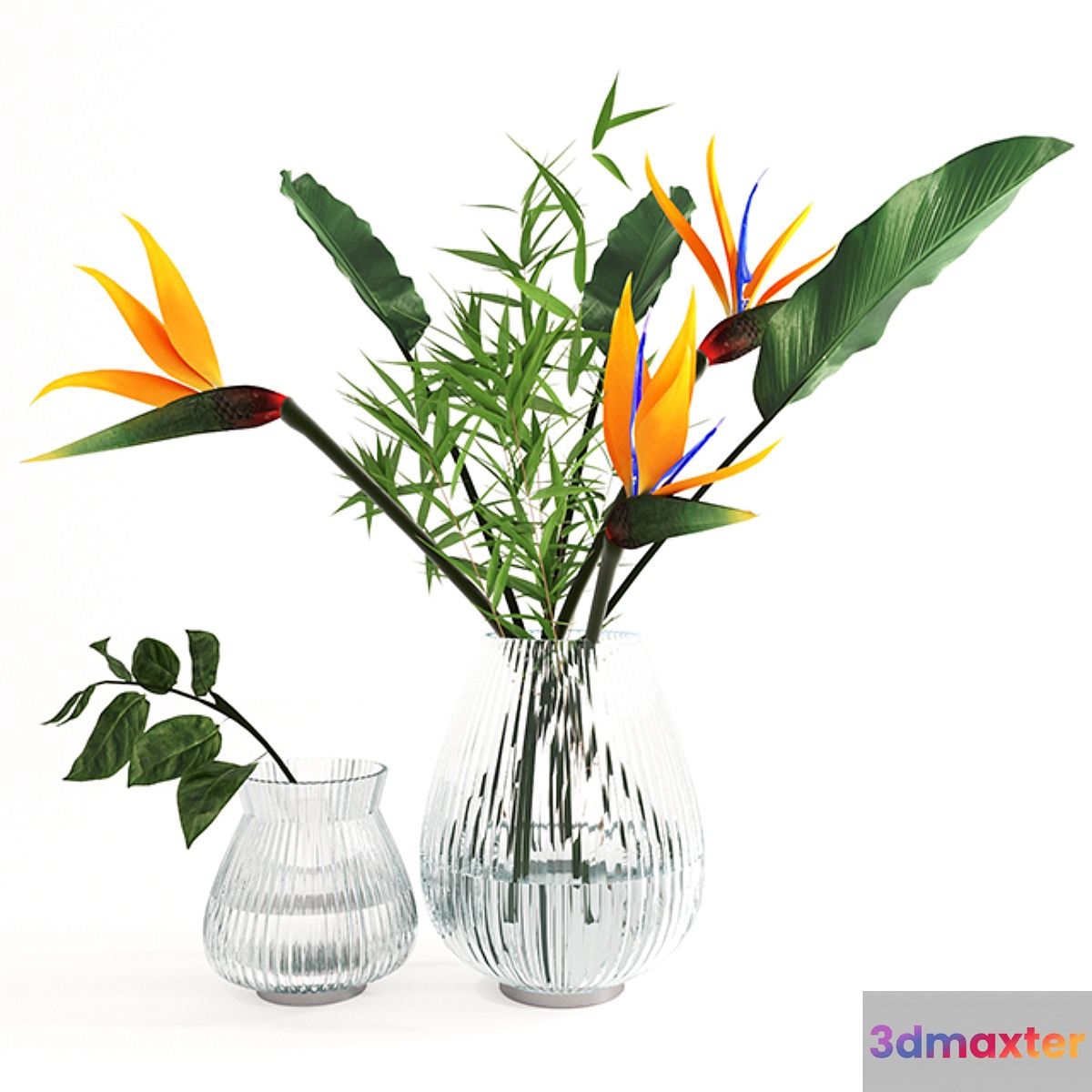 Exotic bouquet- strelitzia - No.2