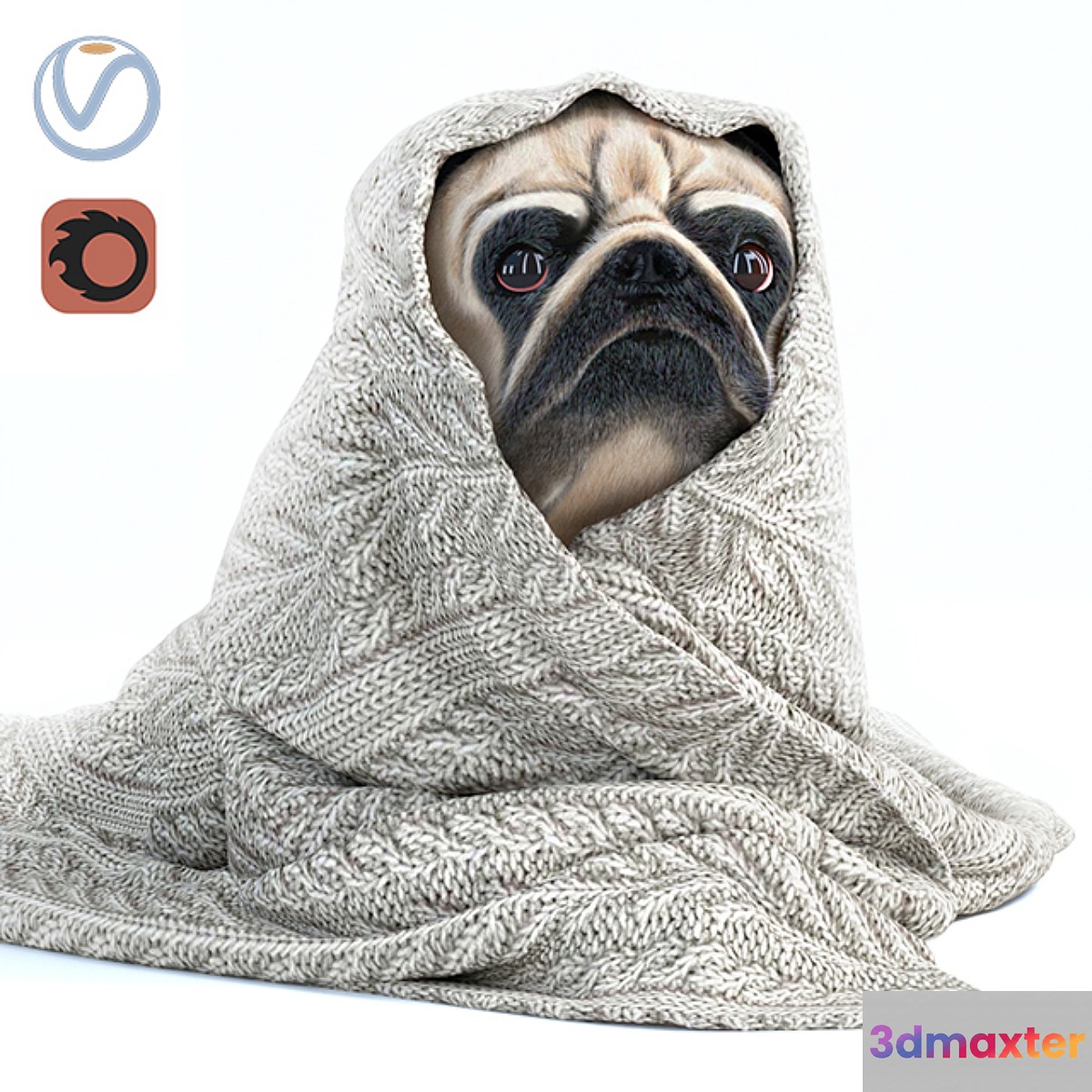 Pug 1 - Winter is coming - No.2