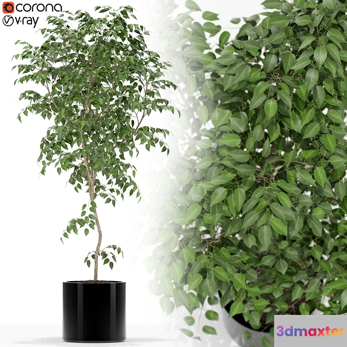 Plants collection 152 - No.2 3D Max