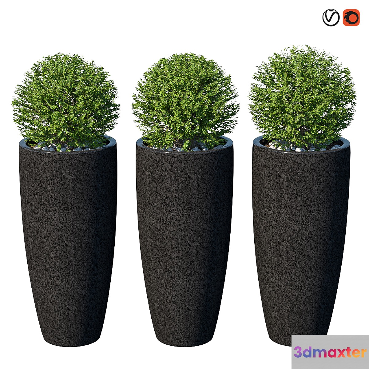Street bushes in pots VIII 3D Max