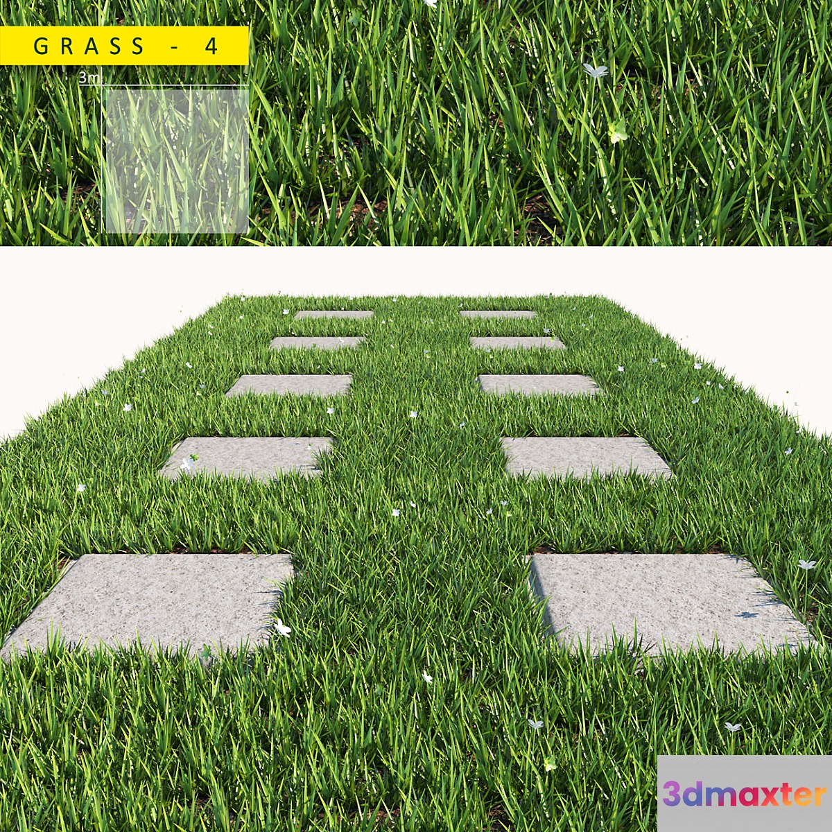 grass 4 3D Max