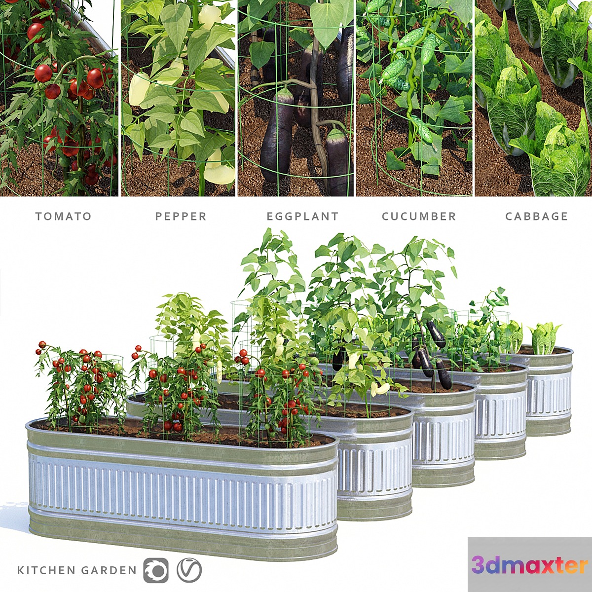 Garden | Kitchen garden - No.2