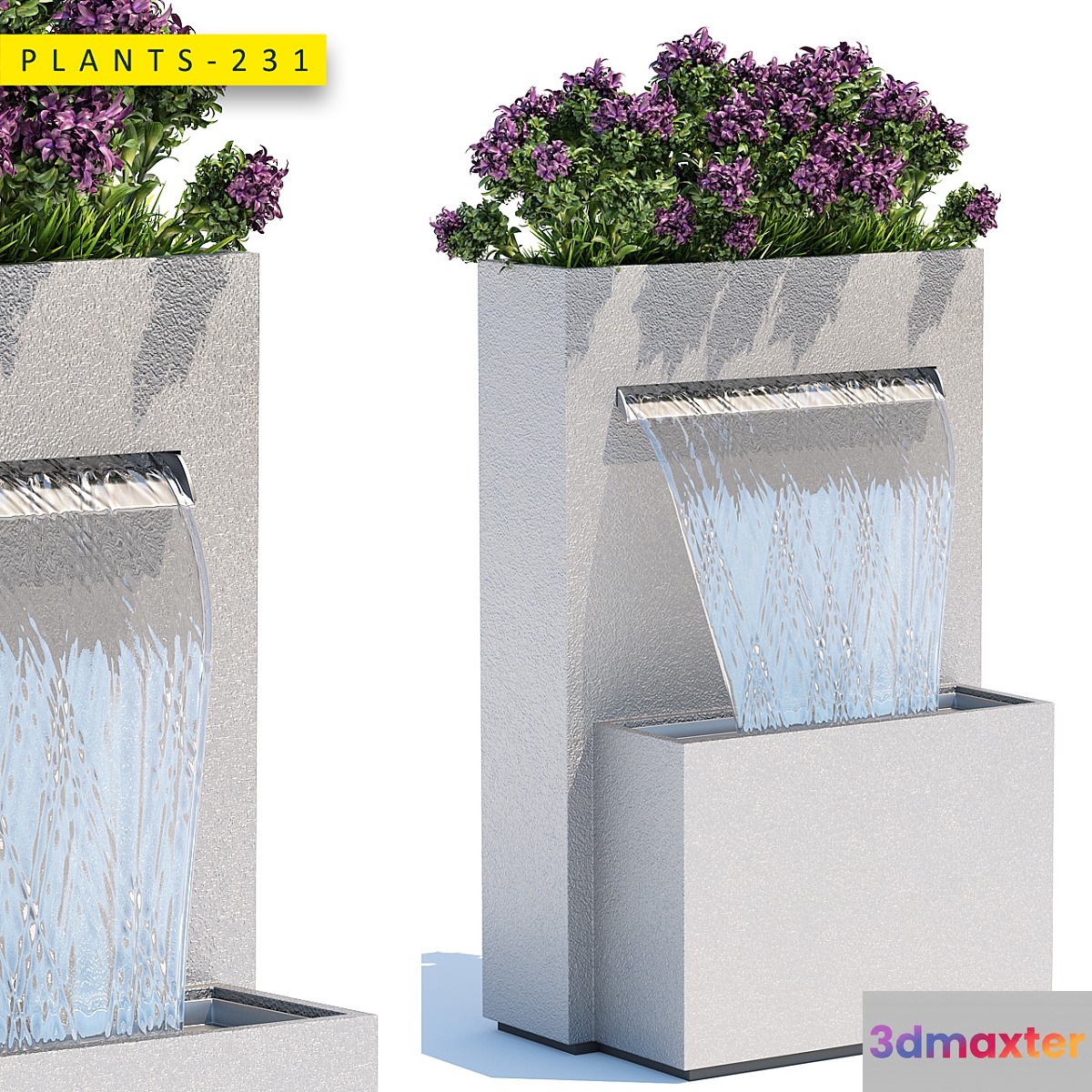 plants 231