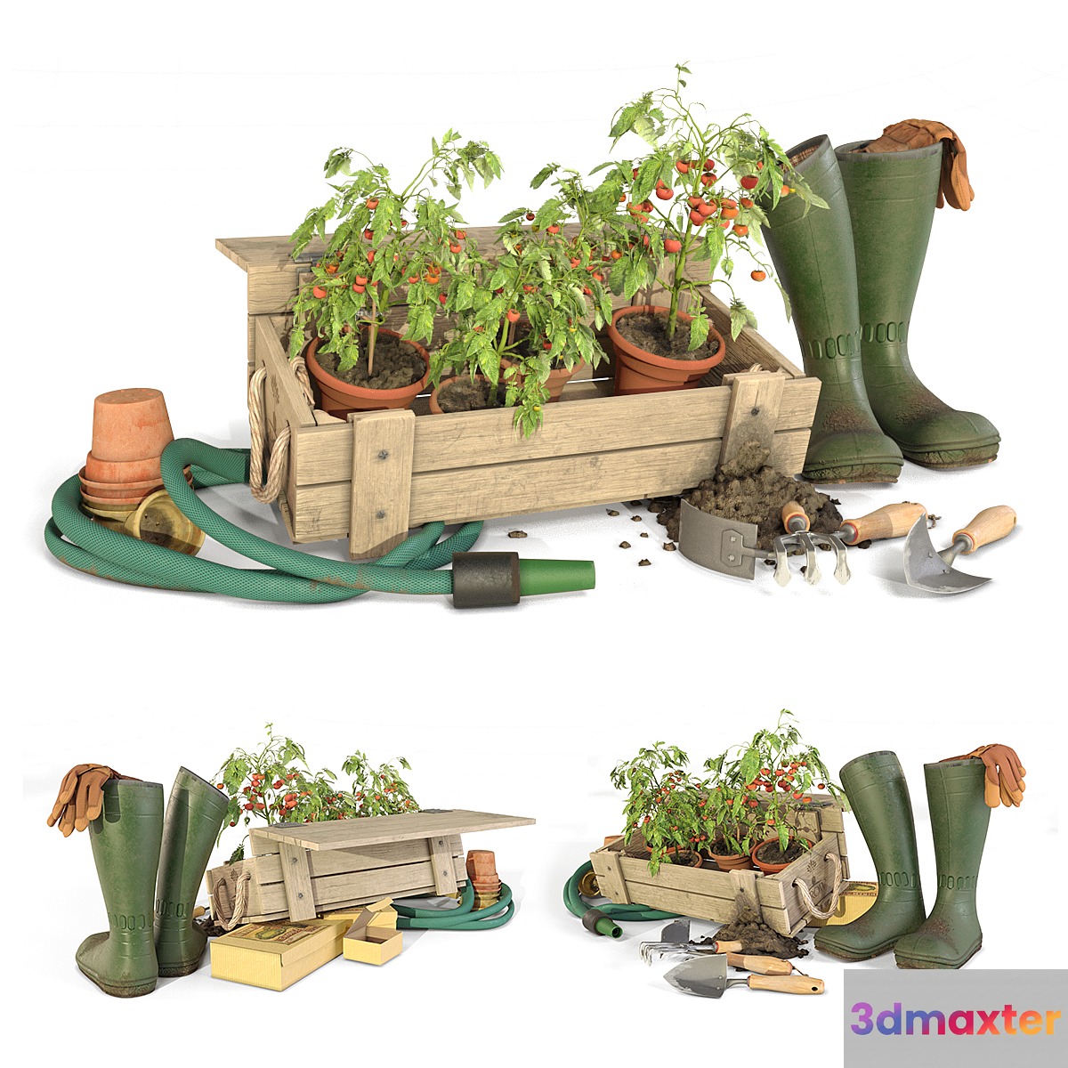 Gardener tomato toolkit 3D Max