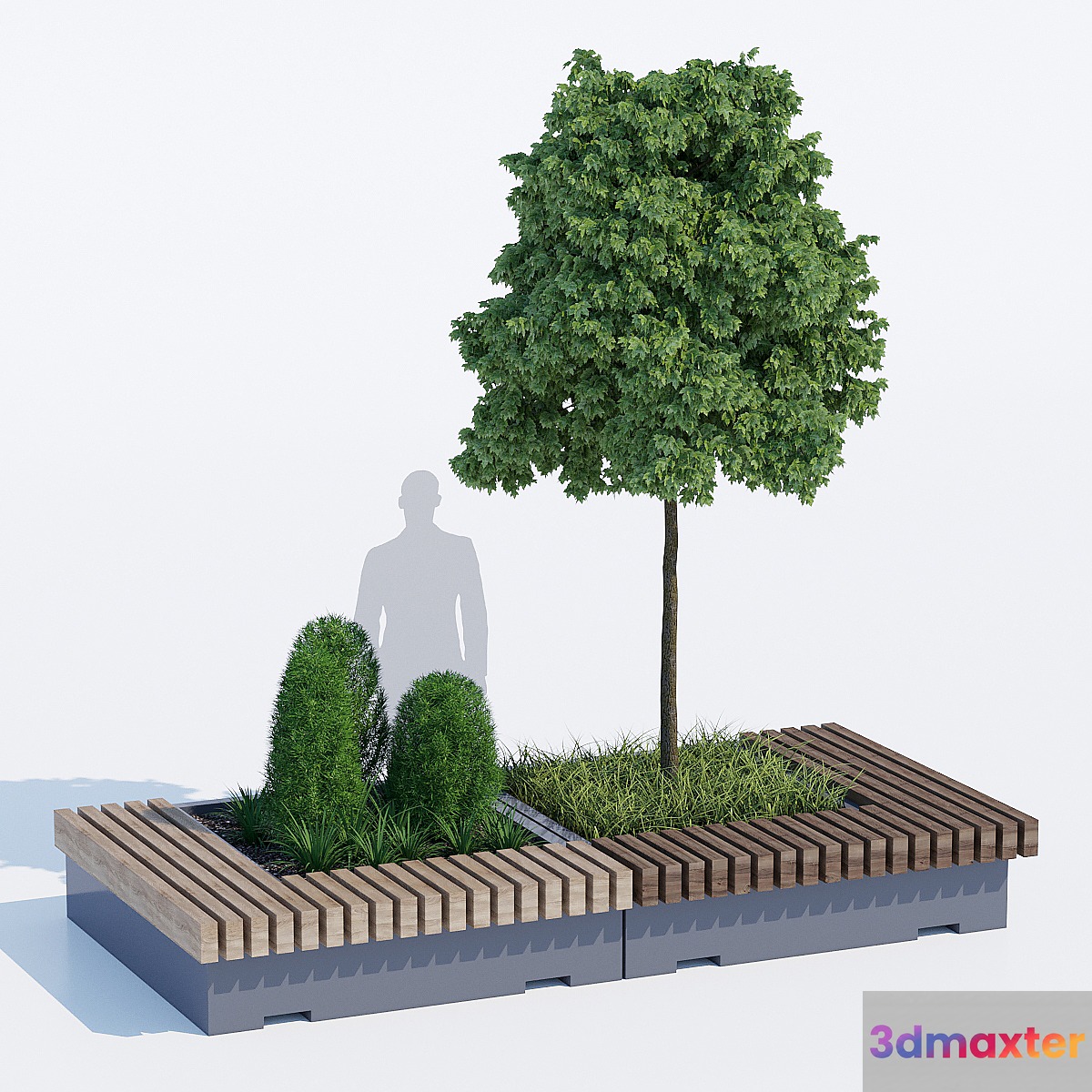 Big green benches tree