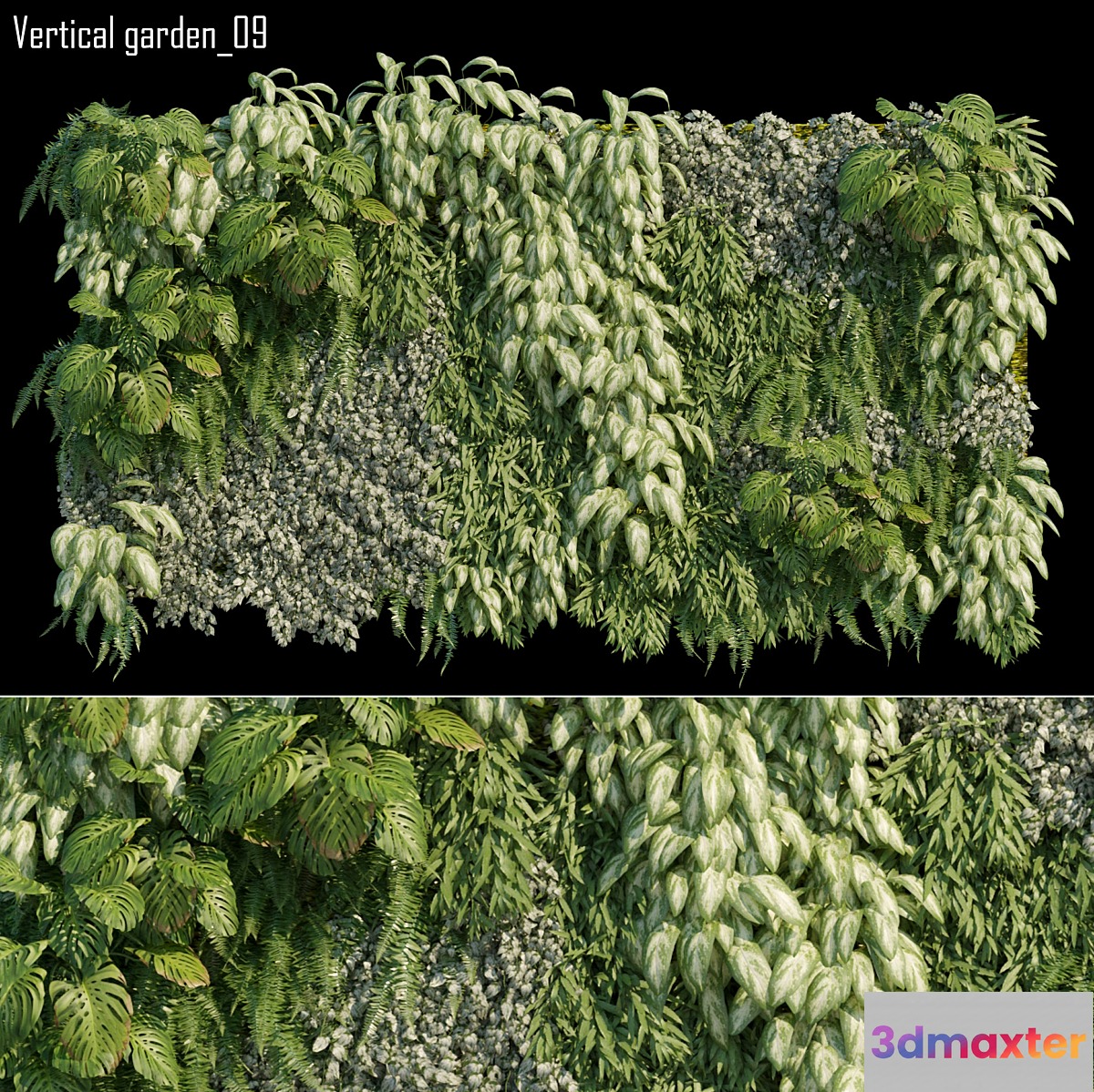Vertical garden 09 - No.2