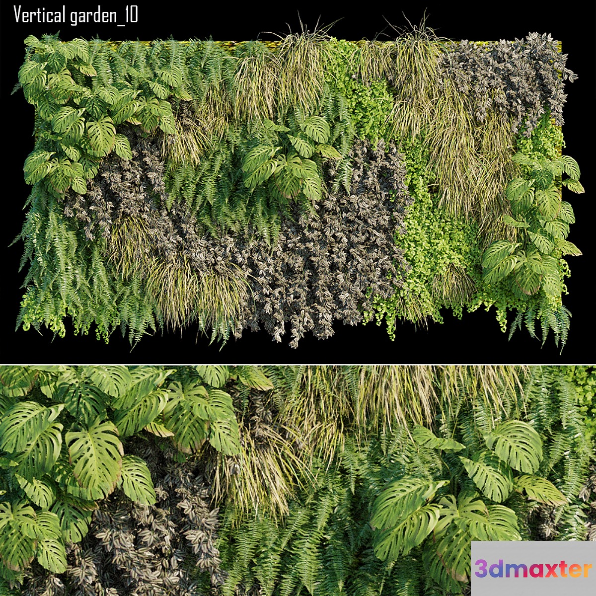 Vertical garden 10 - No.4