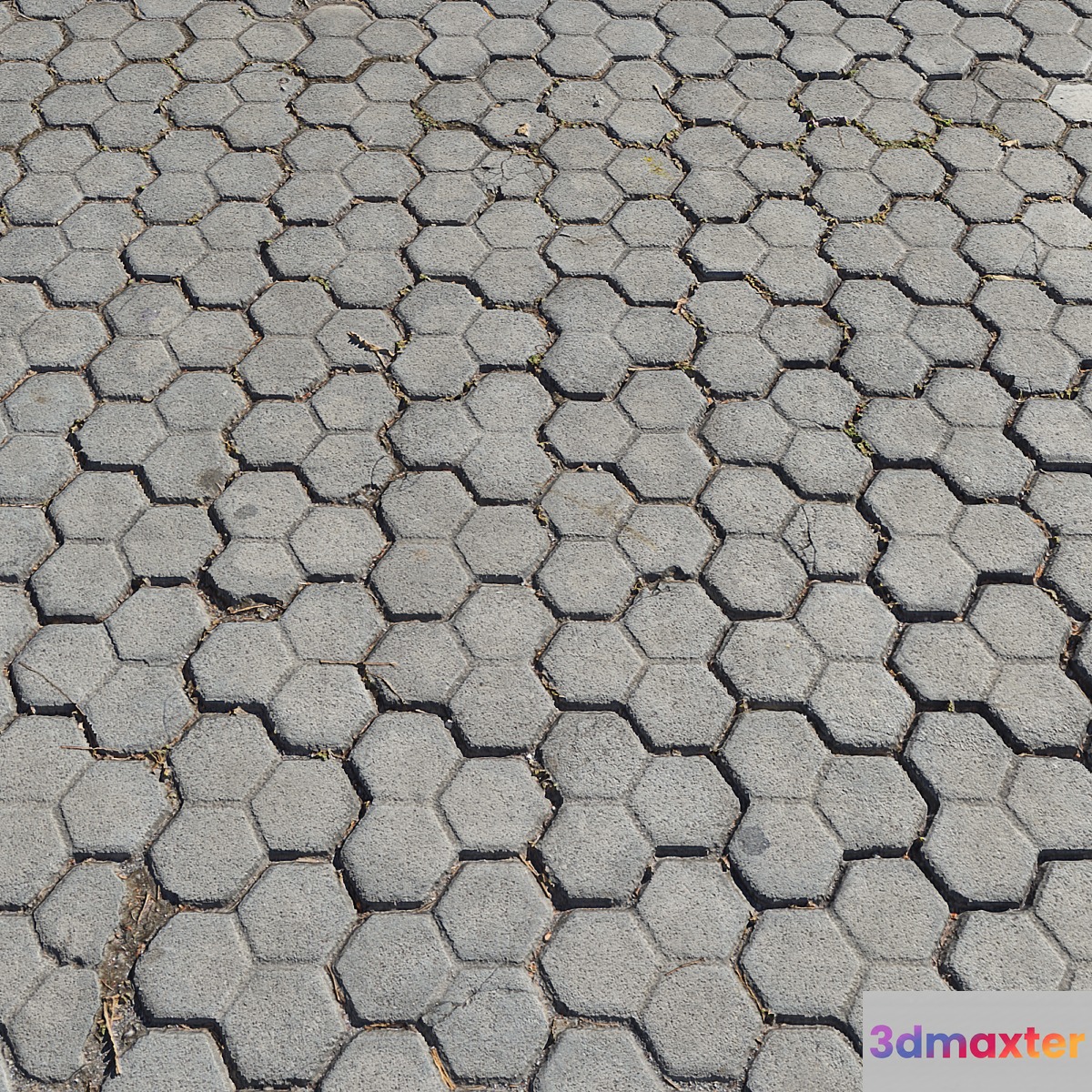 Pavement tiles_7 - No.3