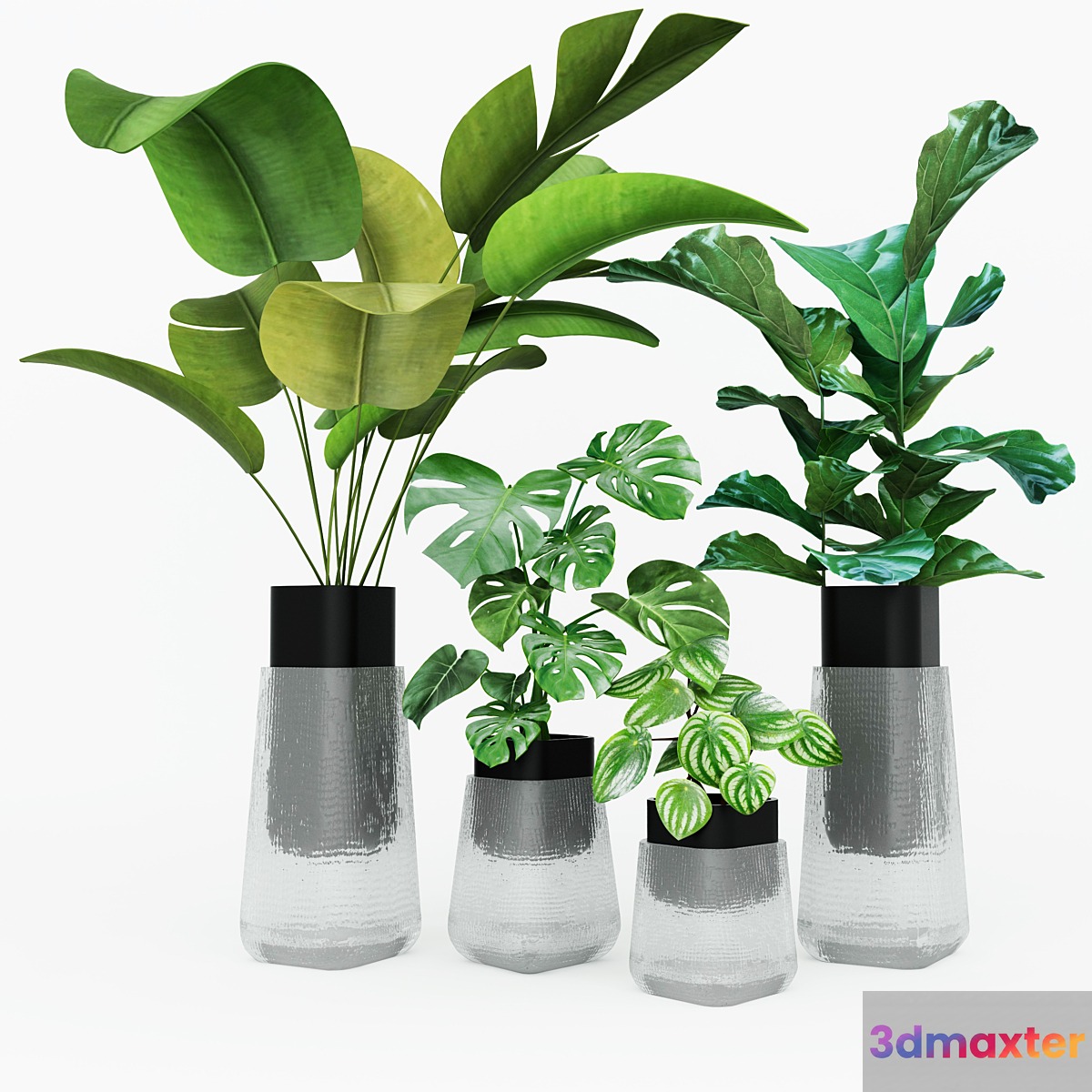 Plant collection