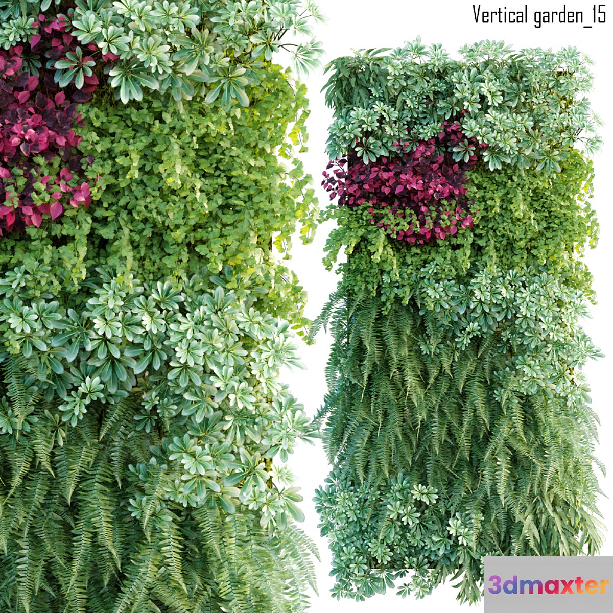 Vertical garden 15 - No.4
