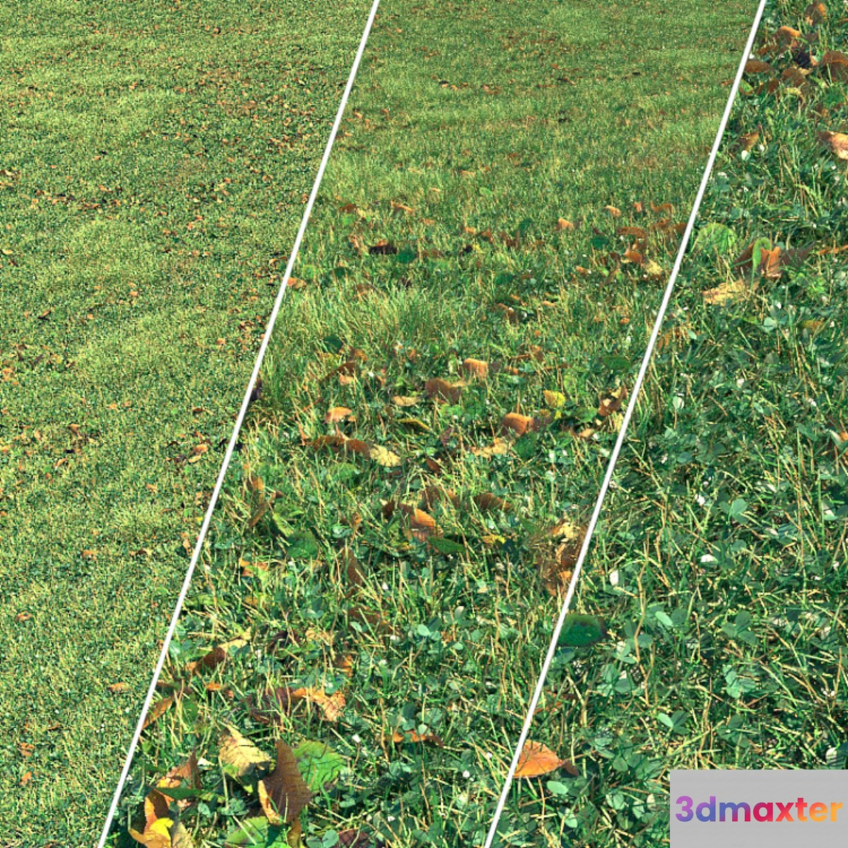 Autumn grass - No.2 3D Max
