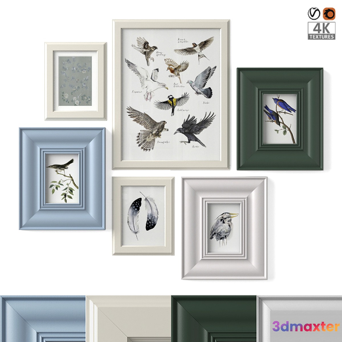 Paintings with birds 3D Max