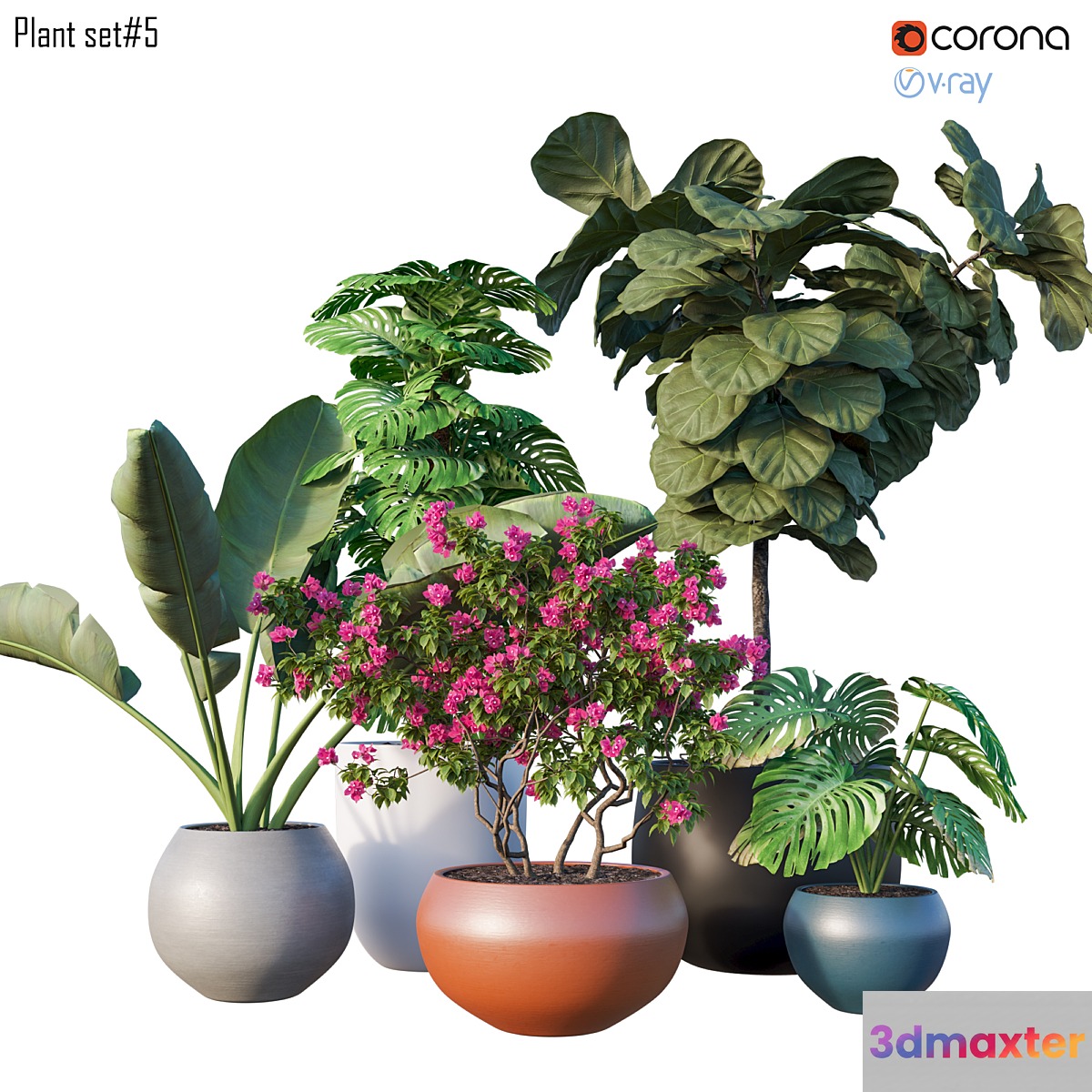 Plant set # 5 3D Max