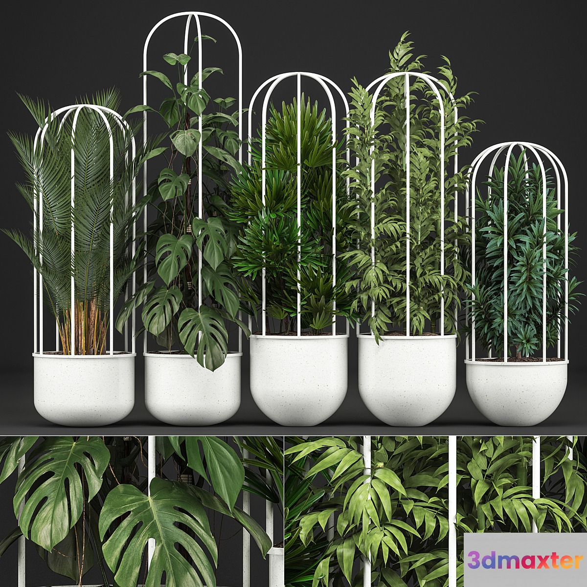Plant collection 328. White pot flowerpot monstera bamboo dracaena palm tree indoor plants Scandinavian style metal flowerpot bushes thickets - No.3