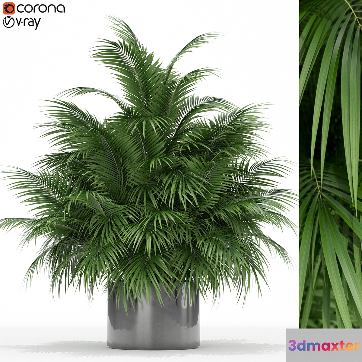 Plants collection 177 3D Max