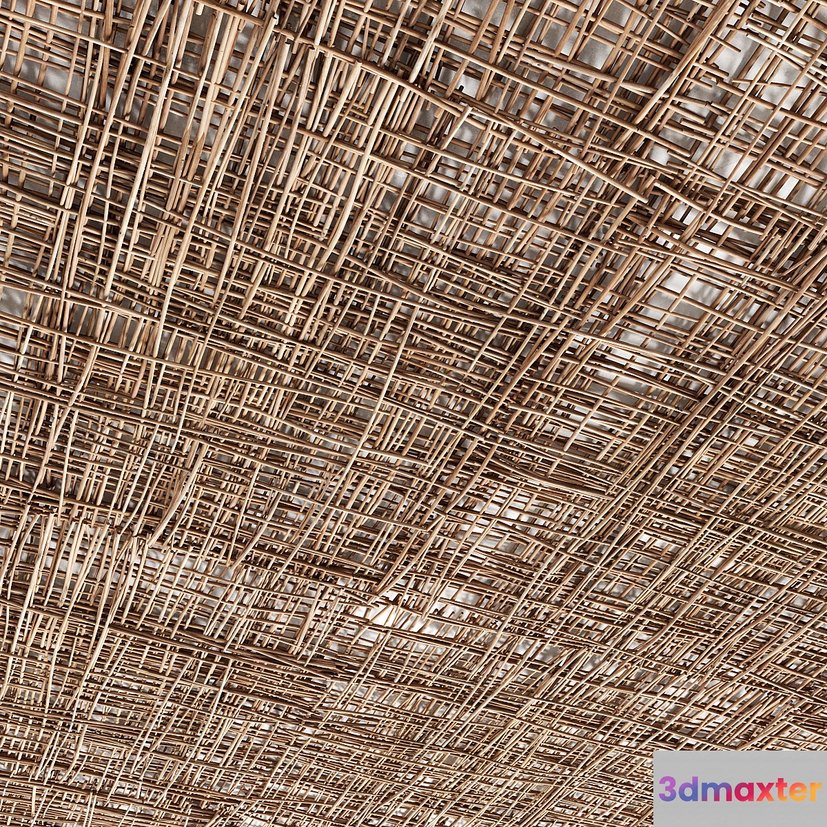 Bramch ceiling 3D Max