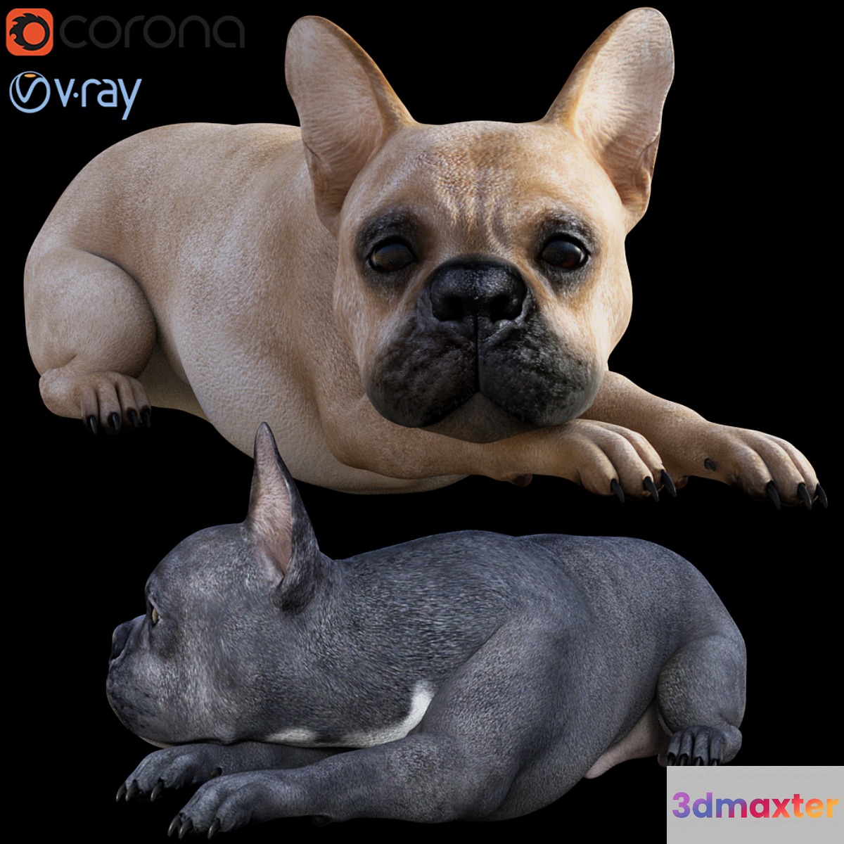 Dog_Bull 3D Max