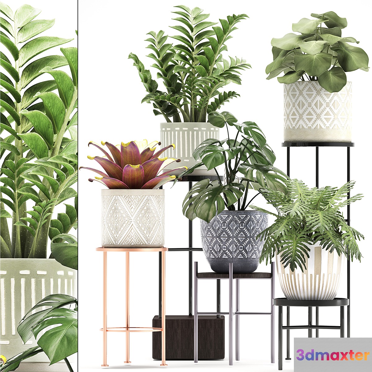 Collection of plants 333. Flower shelf stand Zamioculcas monstera Bromelia Philodendron houseplants stand Scandinavian style flower - No.2