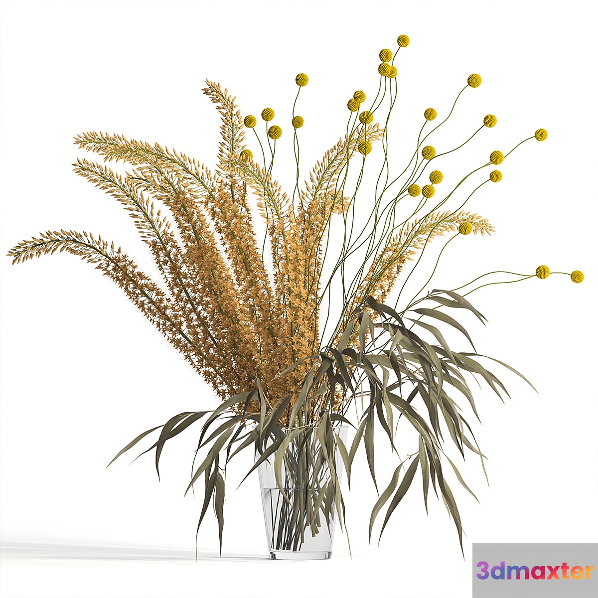 Eremurus & eucalyptus & craspedia bouquet