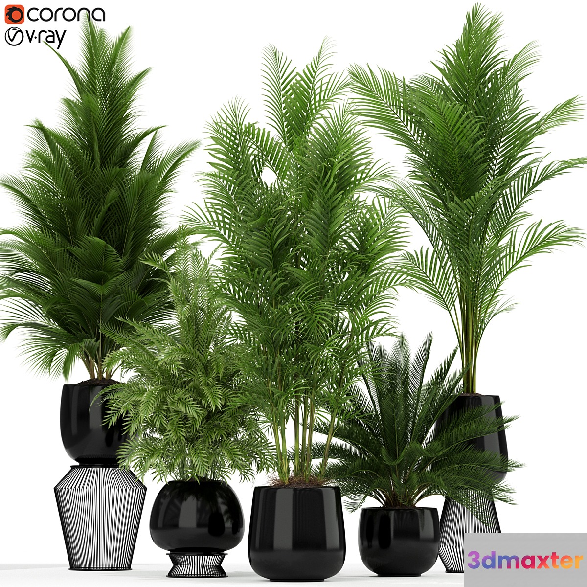 Plants collection 184 3D Max