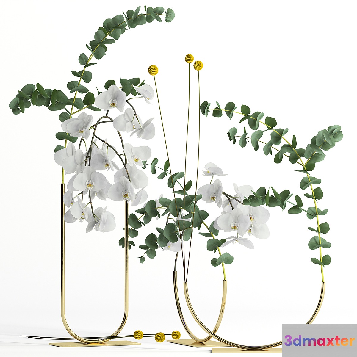 Plants in metal vases Fresh