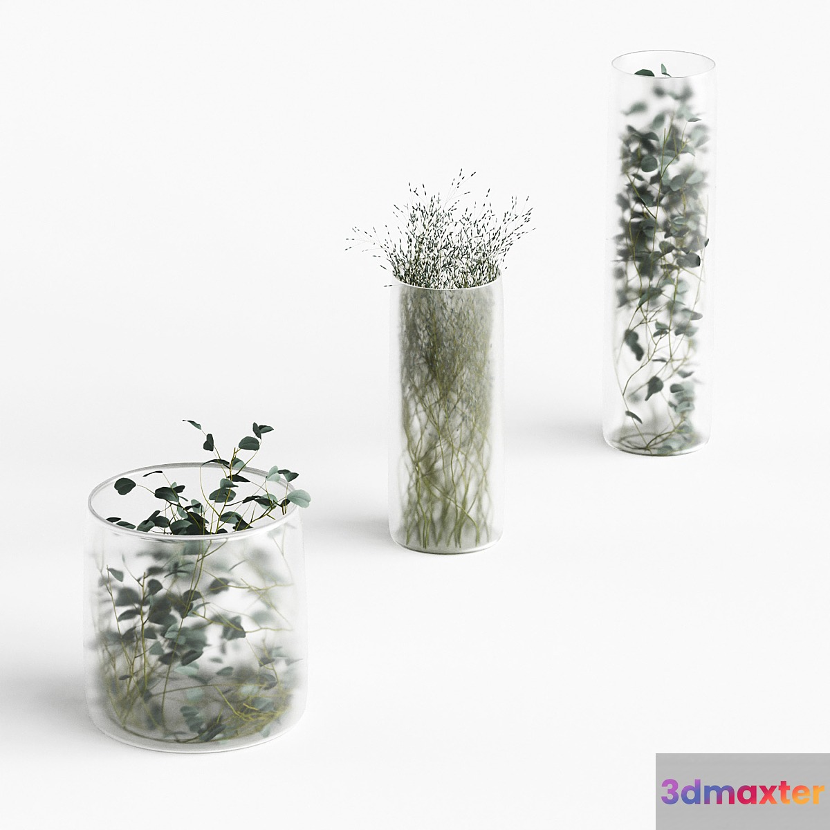 Plants in frosted vases 3D Max