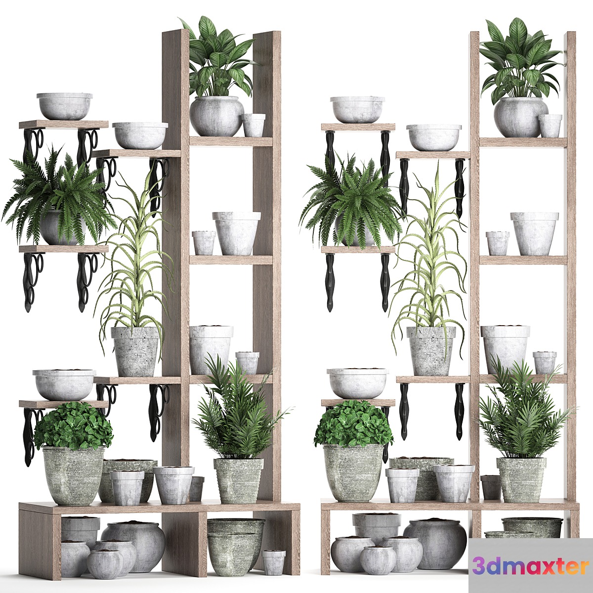 Plant Collection 365. Shelf with plants aloe flowerpot greenery vertical garden concrete eco design 3D Max