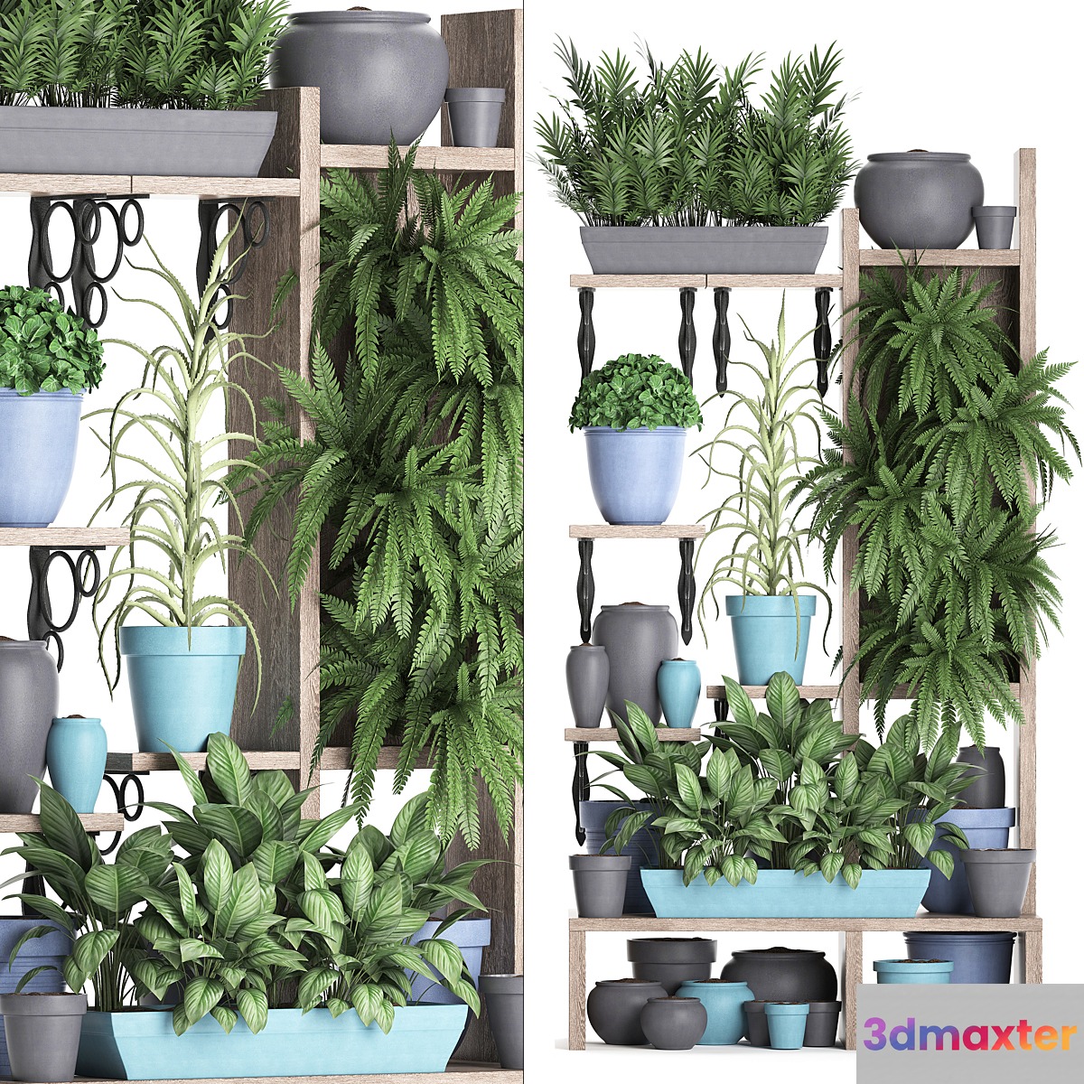 Plant Collection 367. Shelf with plants fern flowerpot greenery vertical garden phytowall phytomodule pots eco design - No.3
