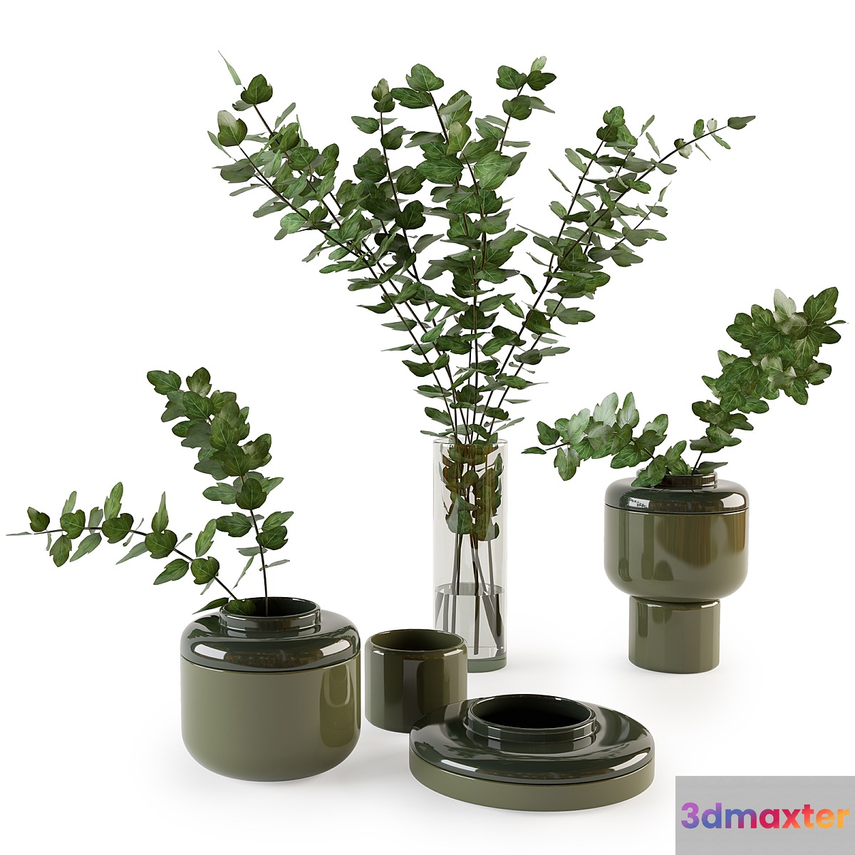 Decorative set with plants 3D Max