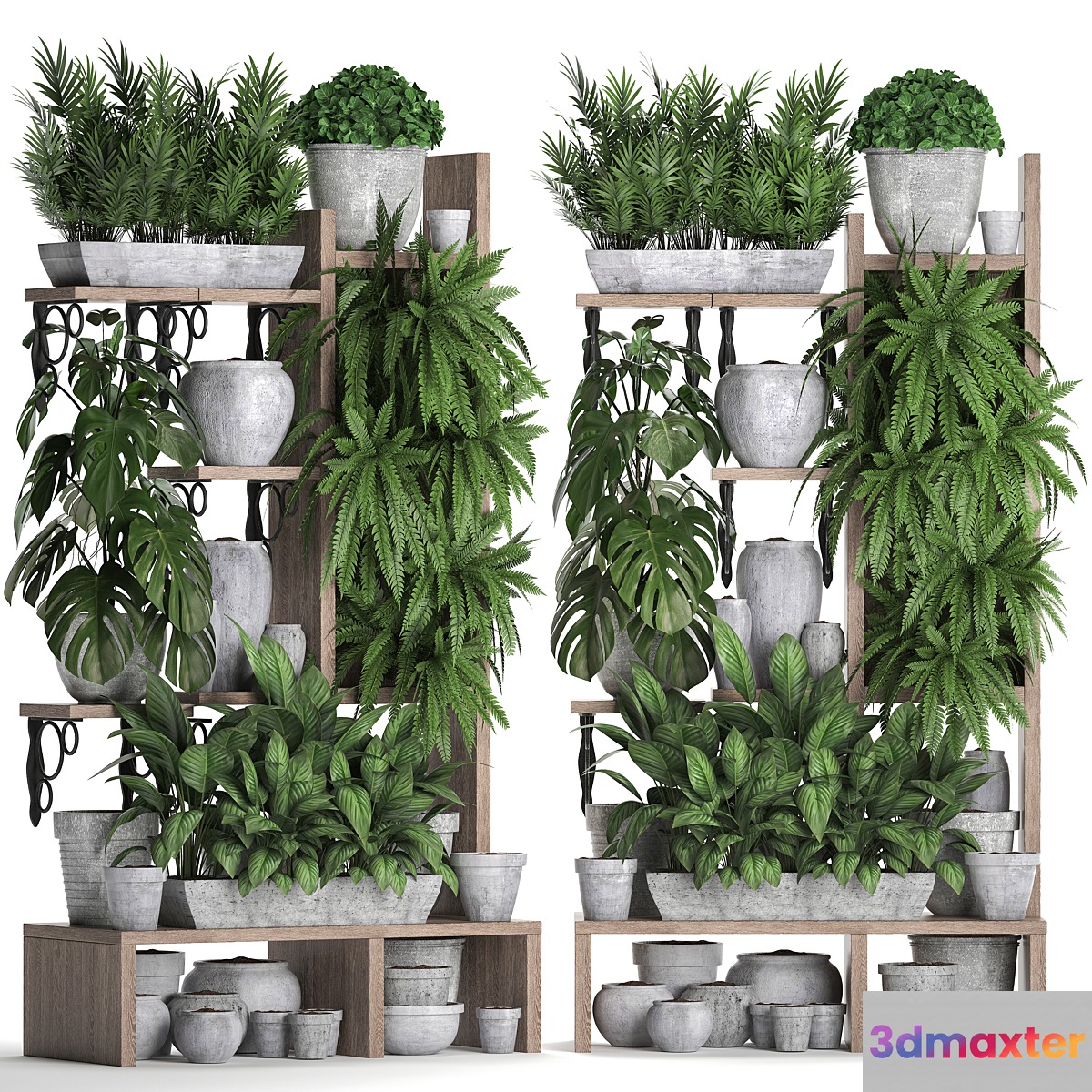 Plant Collection 369. Shelf with flowers fern flowerpot greenery vertical garden concrete pot phytowall phytomodule pots eco design Areca palm 3D Max