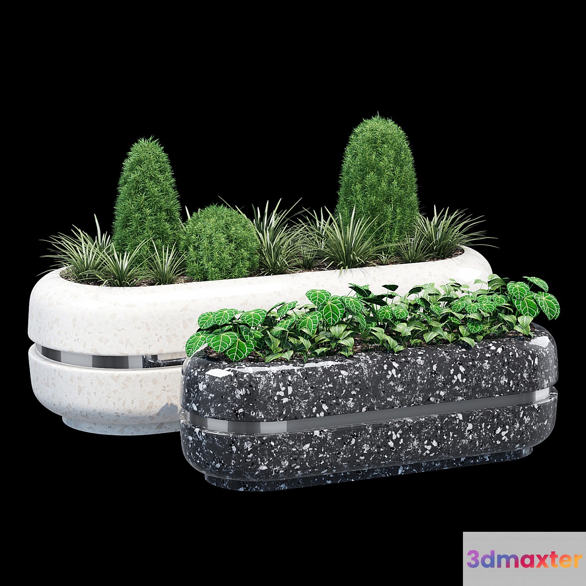 Cristina 3D Max