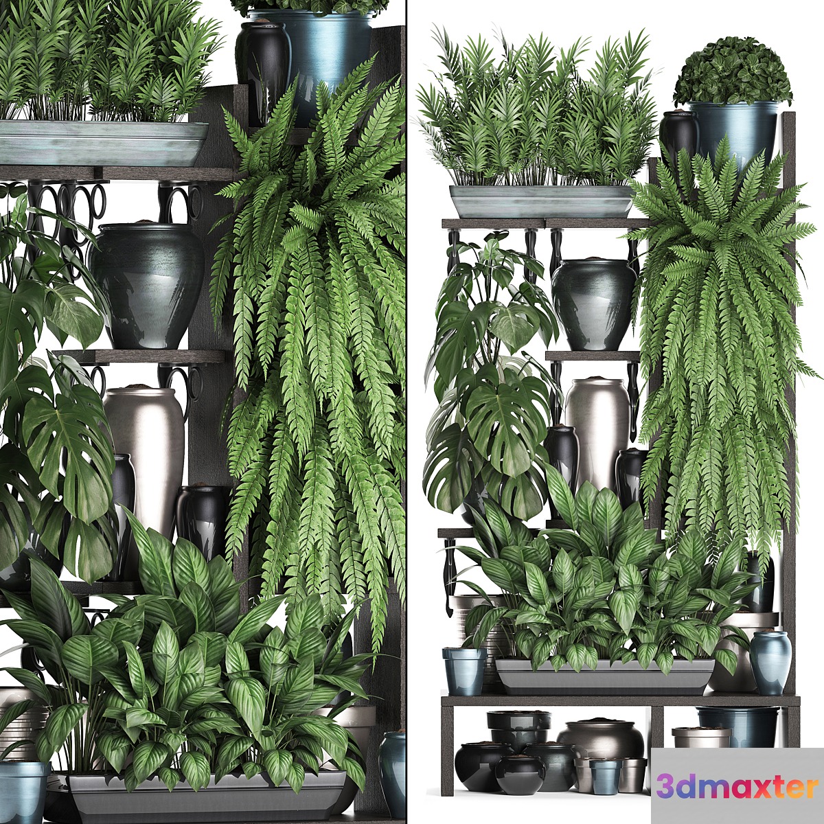 Plant Collection 371. Shelf with flowers ficus lyrata monstera flowerpot greenery vertical garden phytowall phytomodule pots eco design Scandinavian style - No.2 3D Max