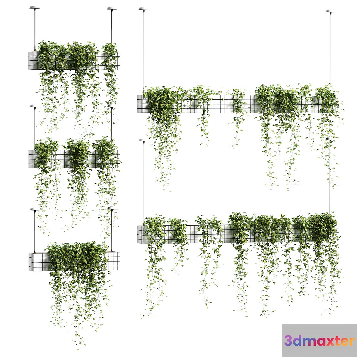 Ivy in hanging flower pots. 5 models - No.3