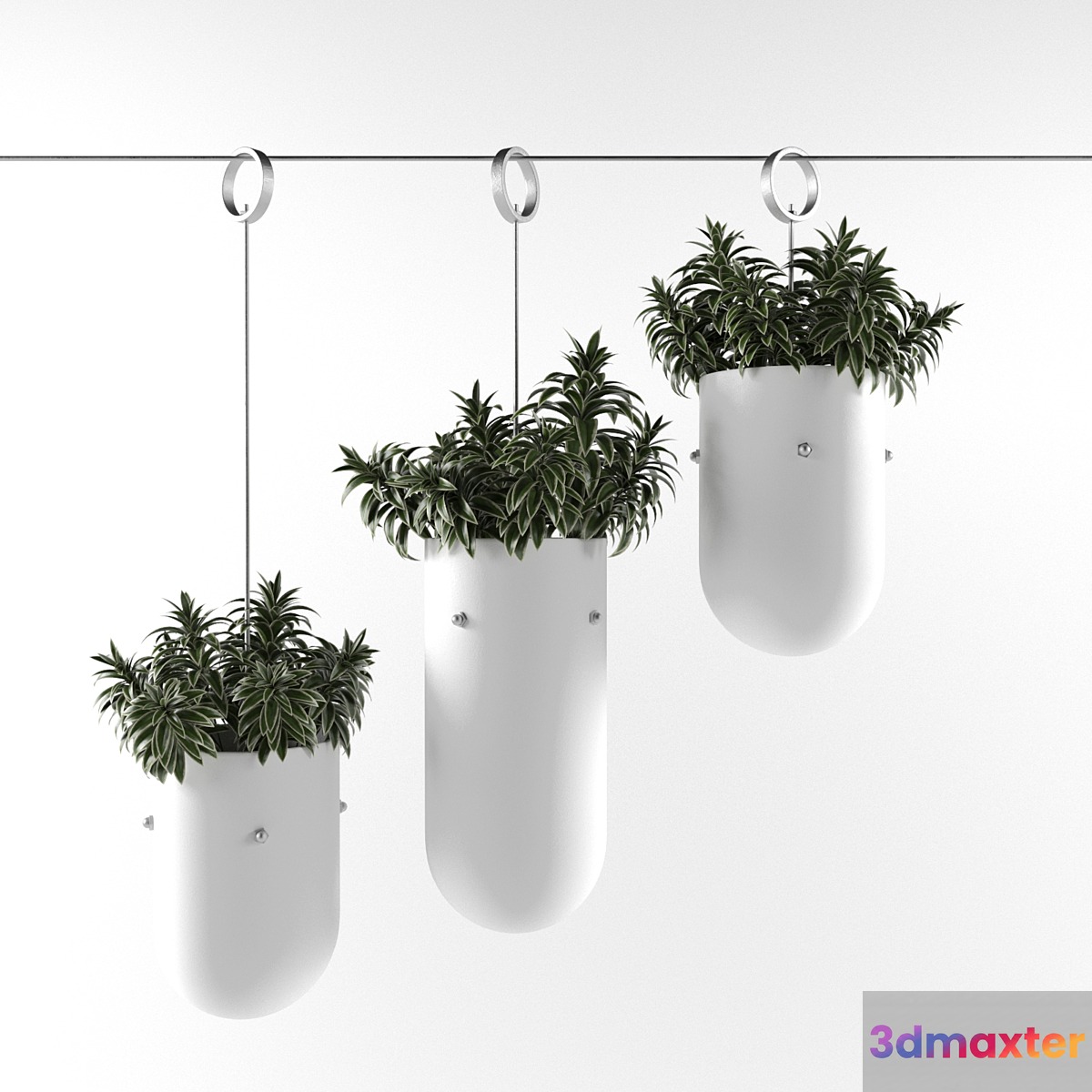 plants 1 3D Max