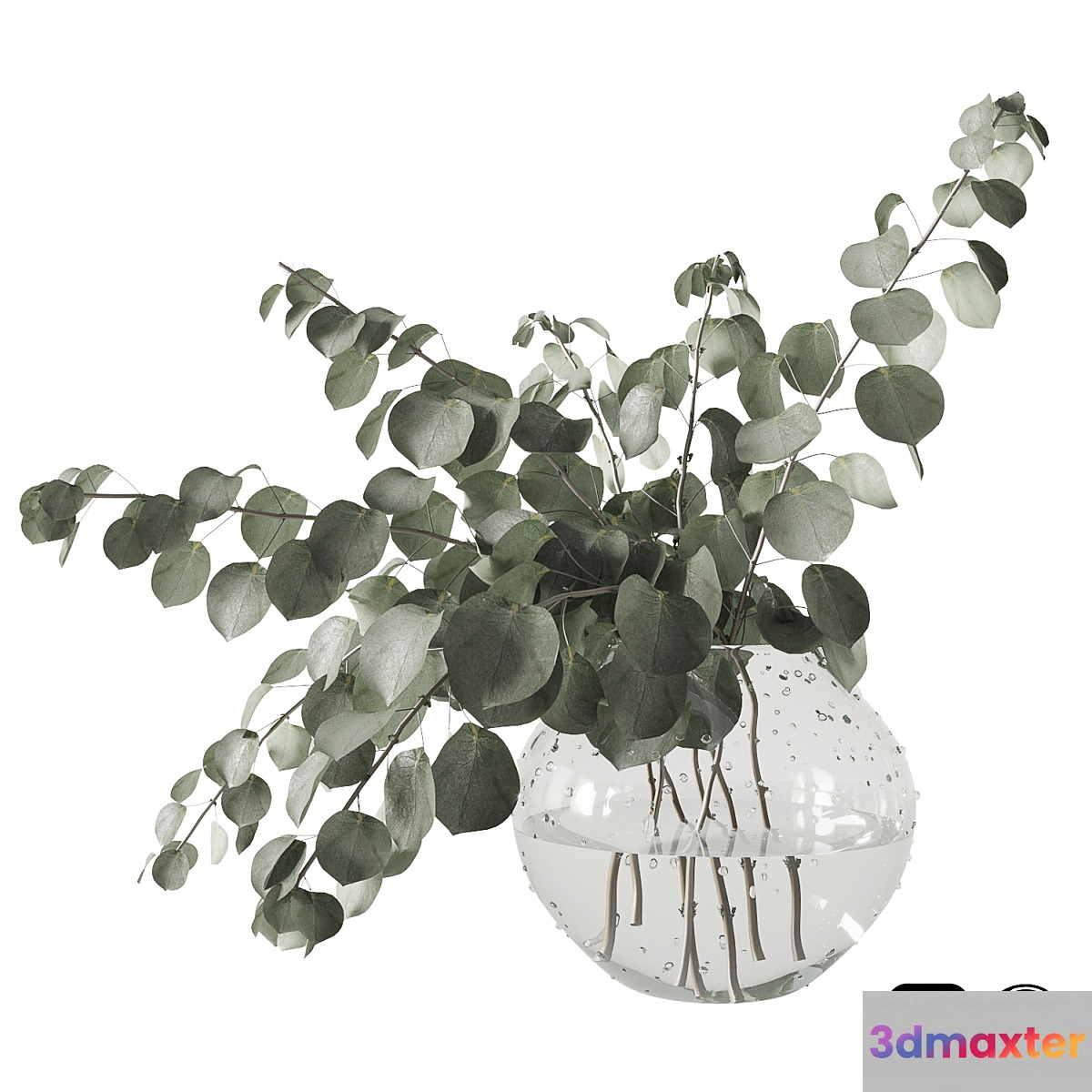 Eucalyptus bouquet 3D Max