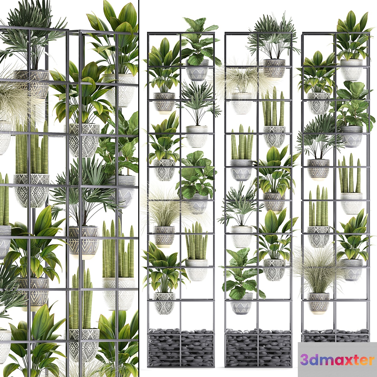 Vertical gardening. 31. Shelf with flowers grass ficus Raphis indoor plants vertical garden phytowall phytomodule pots eco design sansevieria ficus lyrata Raphis palm rack 3D Max