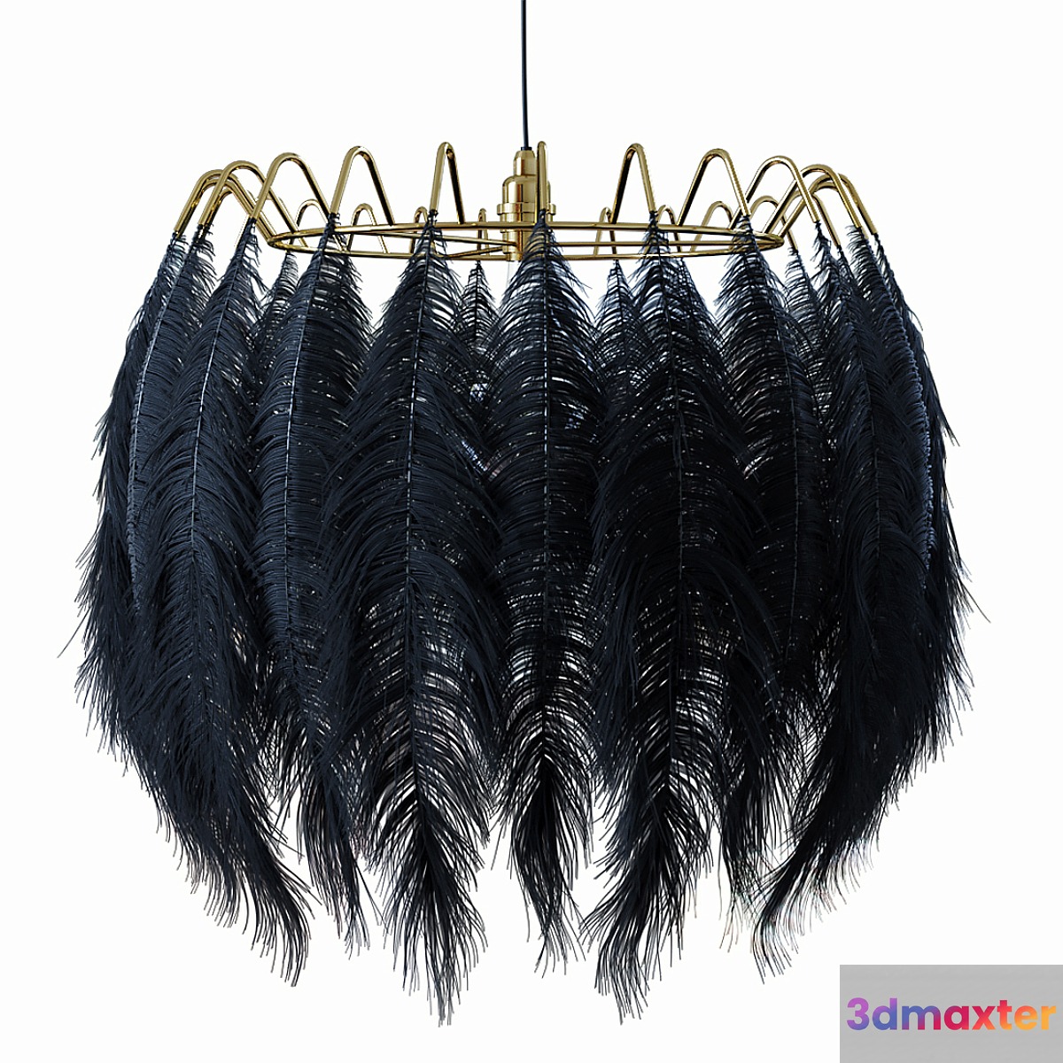 Plumage 54