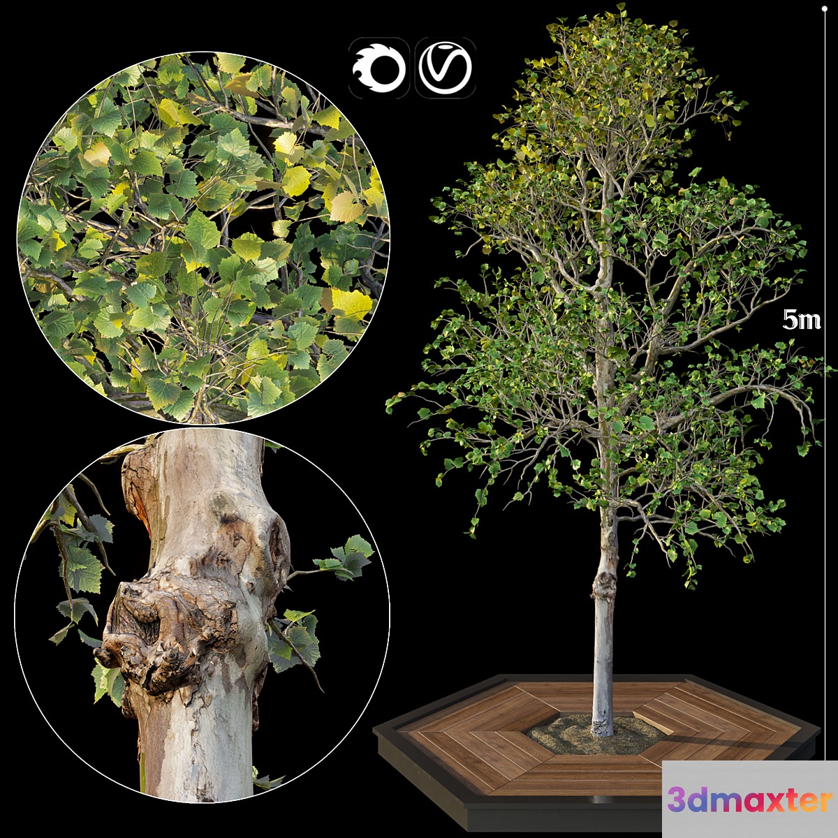 Tree - No.2