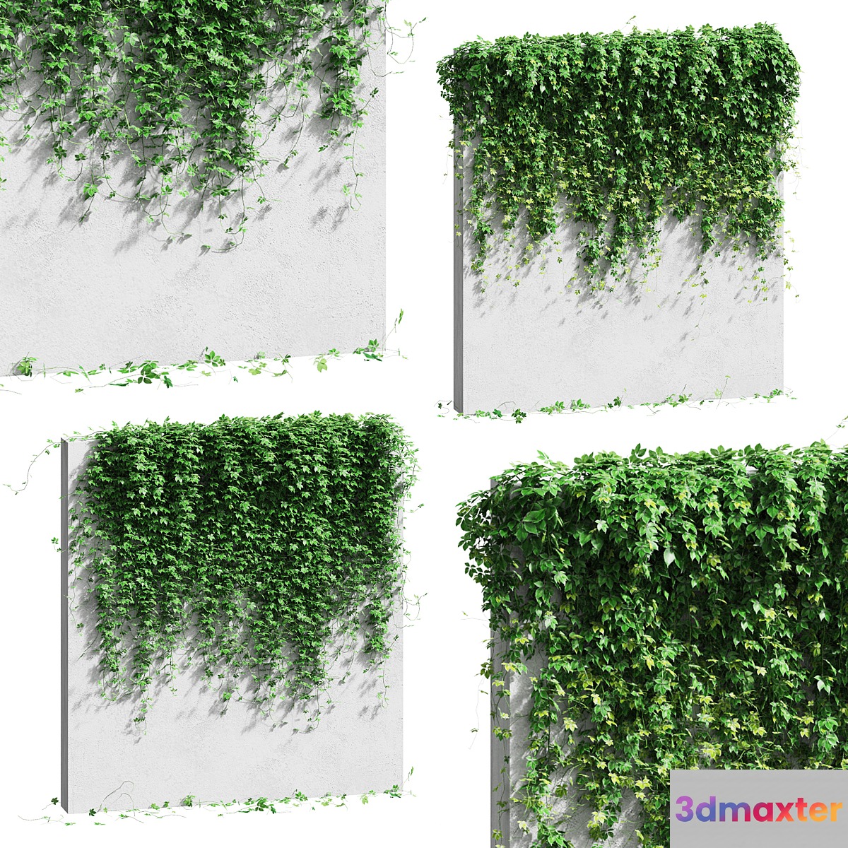 Wall with grape leaves 3D Max
