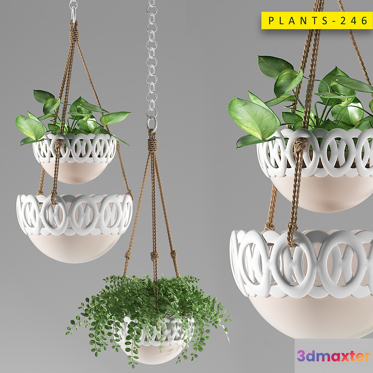 Plants 246 3D Max
