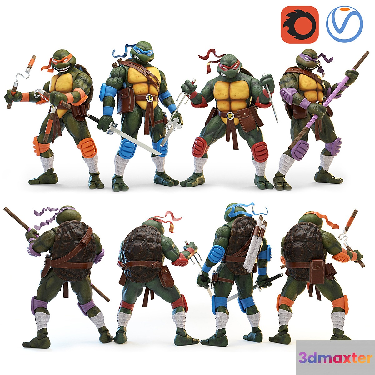 Teenage Mutant Ninja Turtles (TMNT)