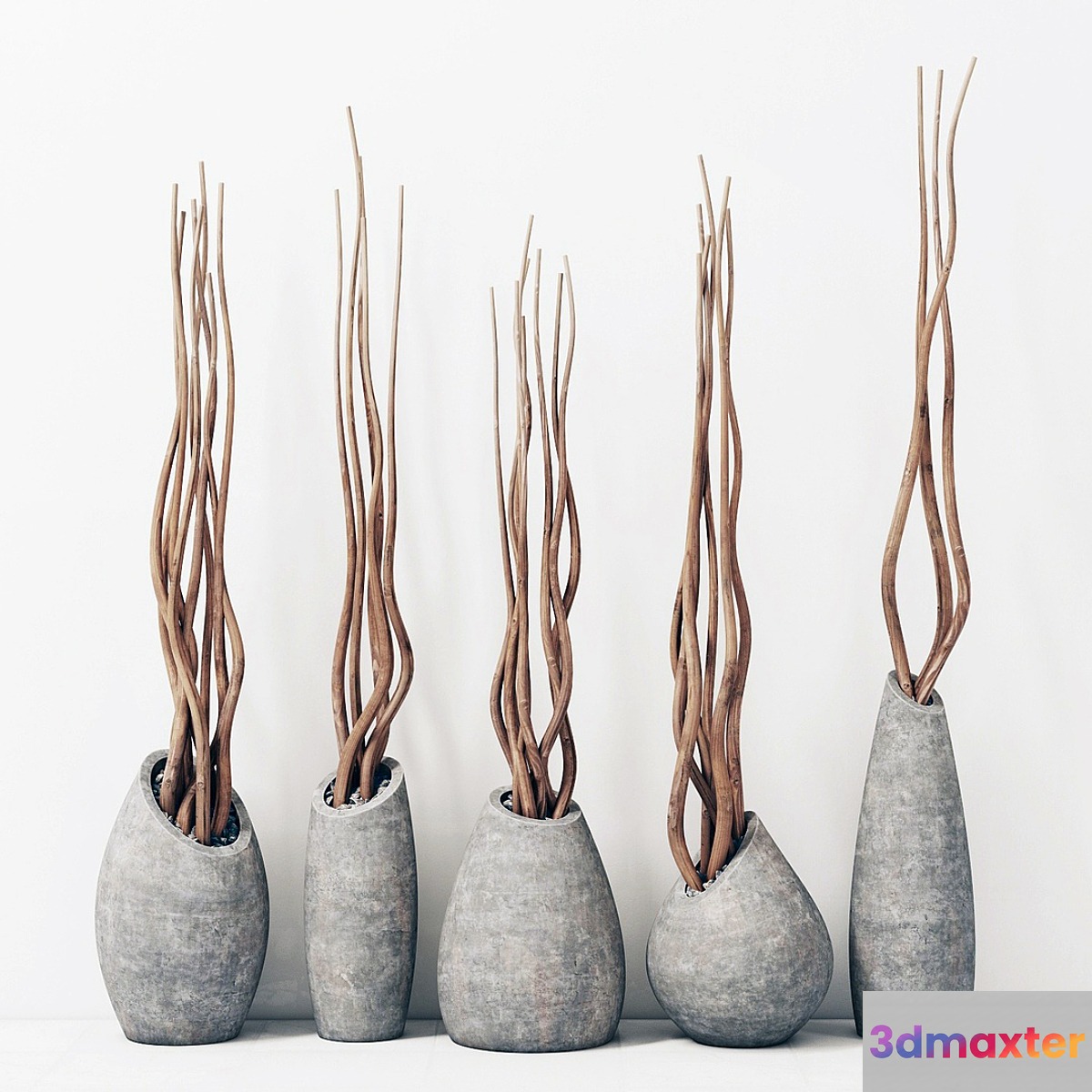 Branches in concrete vases _ Branch concrete vase 3D Max
