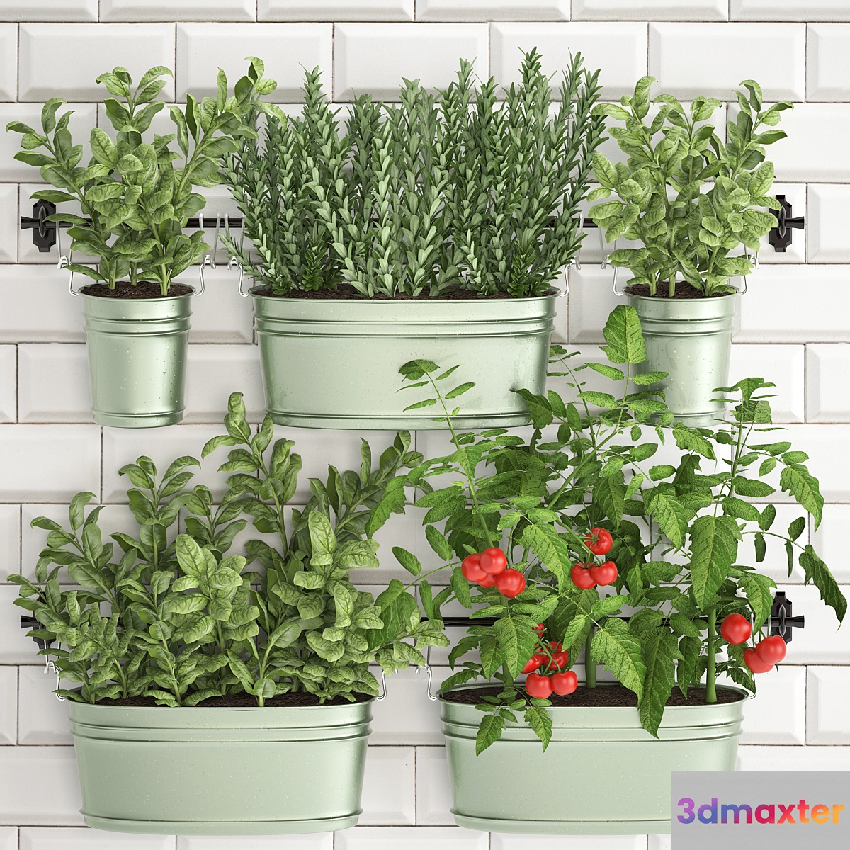 Plant Collection 382. Кухонный сад огород кухонный фартук плитка овощи зелень помидоры розмарин базилик рейлинг 3D Max
