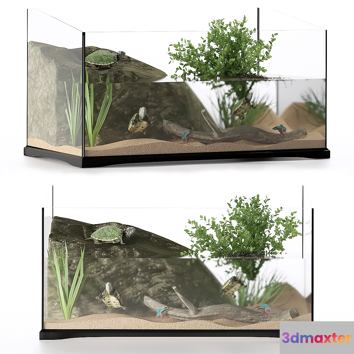 Terrarium for turtles