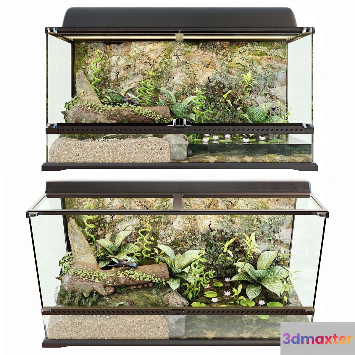 Terrarium - No.2 3D Max