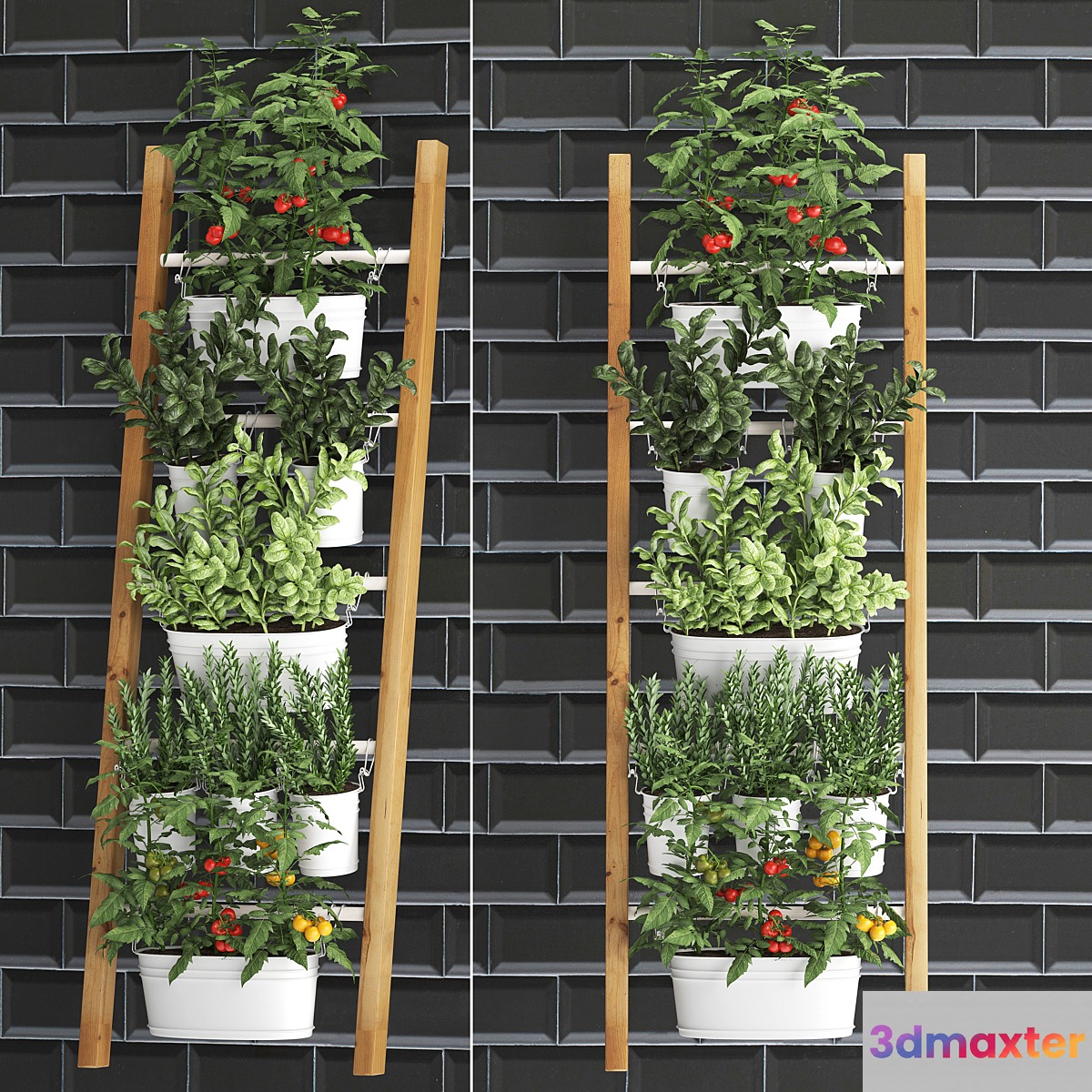 Collection of plants kitchen garden vegetable garden in pots buckets railing ladder black tile apron with vegetables tomatoes rosemary basil Vertical landscaping. Set 35. 3D Max