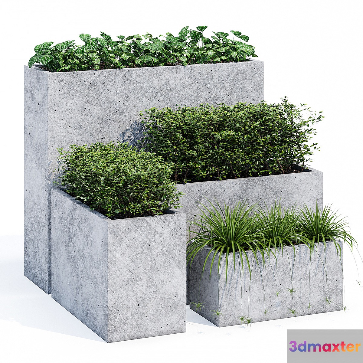 Mone three 3D Max