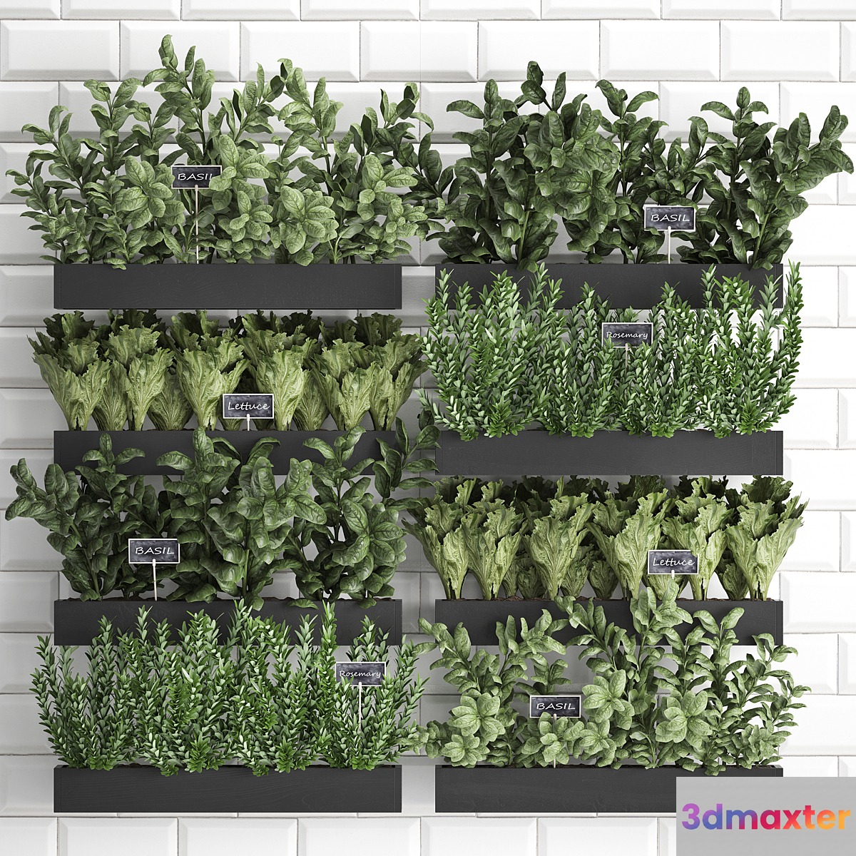 Collection of plants kitchen garden vegetable garden in wooden wall pots garden bed with white tiles apron with vegetables rosemary basil lettuce Vertical gardening. Set 38. 3D Max