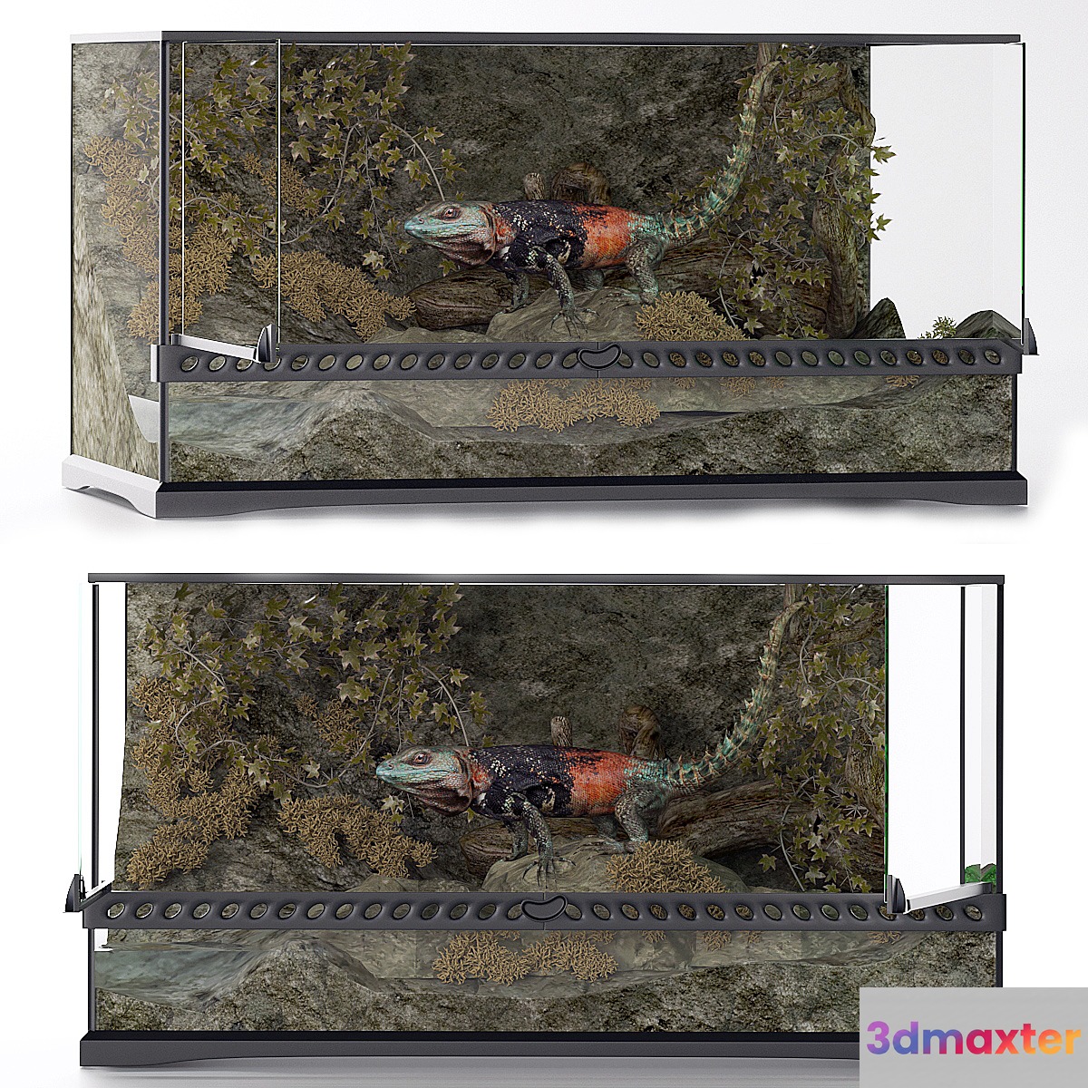 Terrarium iguana 3D Max Terrarium iguana 3D Max