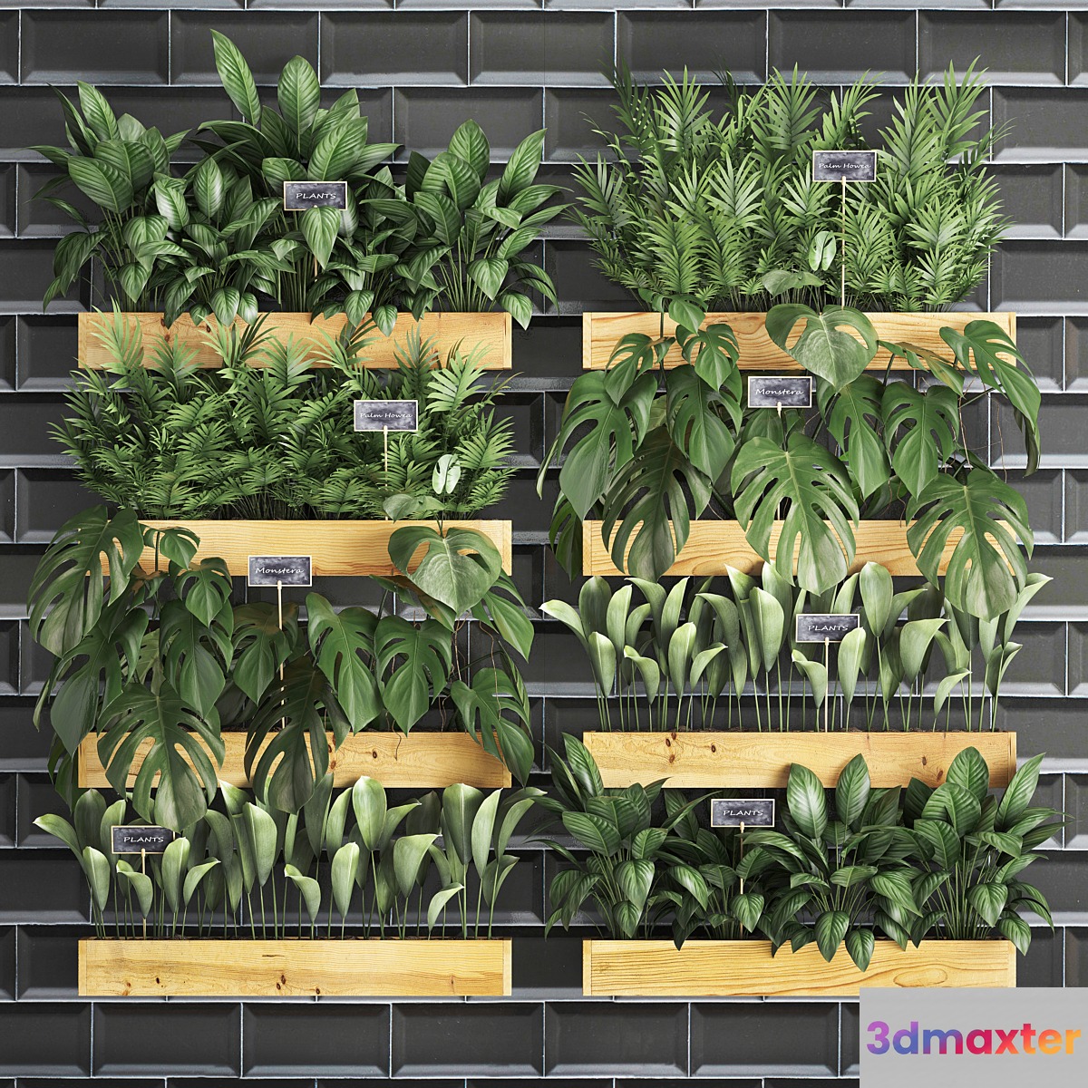 Collection of plants vertical gardening in wooden wall pots shelves with monstera areca palm bush black tile. Set 40.